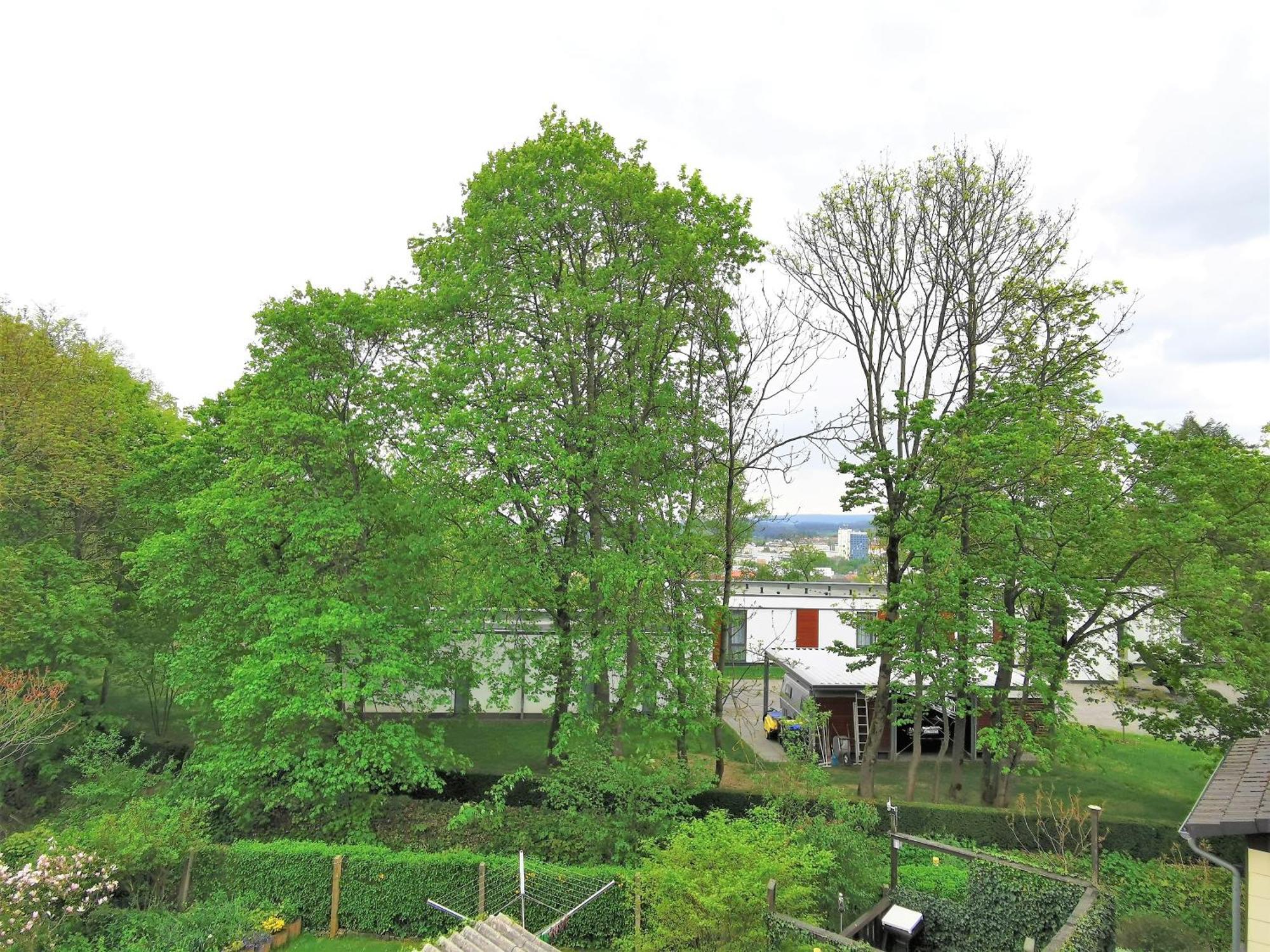 Bohnapartments - Stadtblick Zechenhaus - Balkon - Gratis Parkplatz - Wlan - Sehr Ruhig - Barrierearm Ilmenau Buitenkant foto