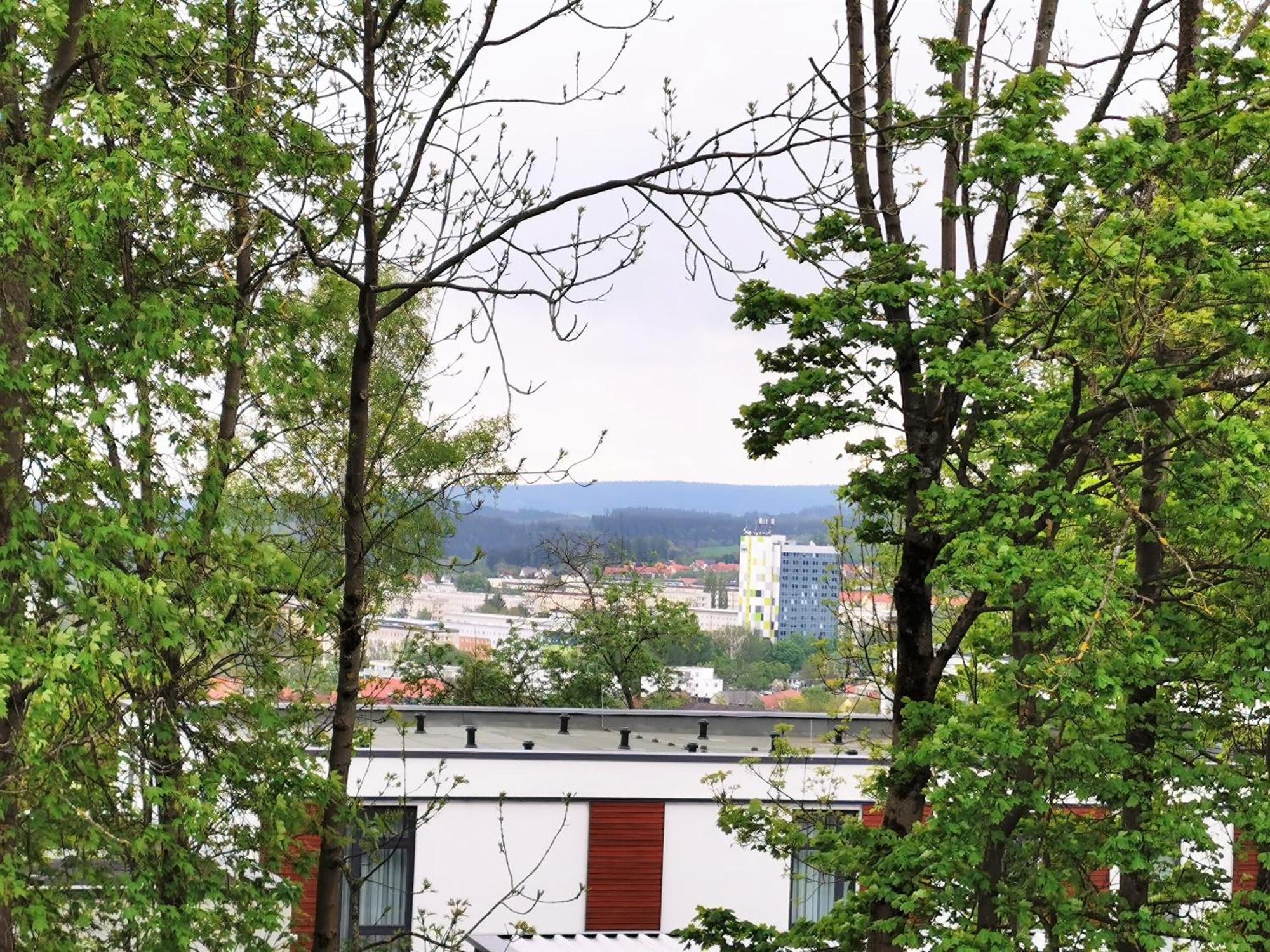 Bohnapartments - Stadtblick Zechenhaus - Balkon - Gratis Parkplatz - Wlan - Sehr Ruhig - Barrierearm Ilmenau Buitenkant foto